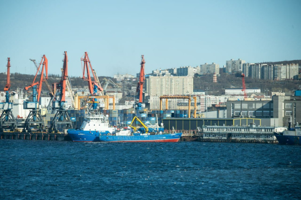 Анонсирован график личных приёмов депутатов Совета депутатов города Мурманска