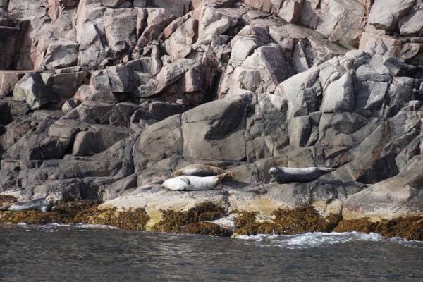 На Кольский полуостров смещается циклон с острова Шпицберген