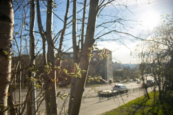 2025 год в Заполярье может войти в пятёрку самых тёплых за последние 90 лет