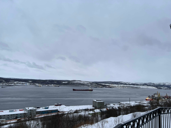 В Заполярье декабрьская капель