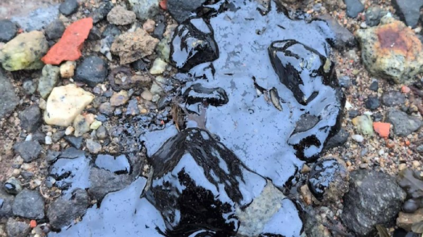 «Незначительные капли»: Росприроднадзор о разливе нефтепродуктов в Мурманске