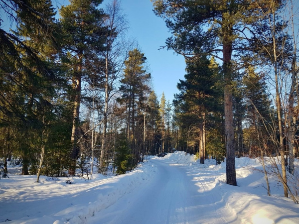 Снежная погода ожидается в Мурманской области
