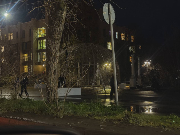 В центре Мурманска начали устанавливать главную новогоднюю ёлку
