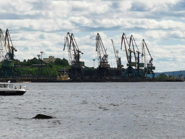 В мурманском порту обрушилась стрела крана