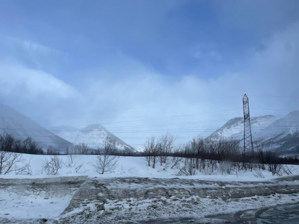 На Кольском полуострове сохраняются ночные заморозки