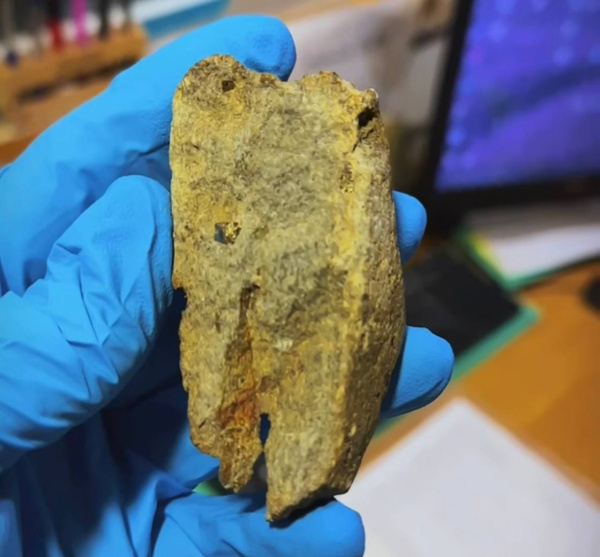 Блогер из Мурманска добыл «золото дураков» во время ловли рыбы