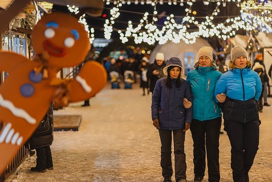  Как все успеть до Нового года и не потерять ресурсы: советы мурманского психиатра