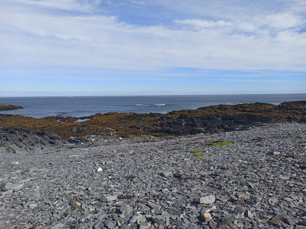 В Мурманской области местами осадки и сильный порывистый ветер