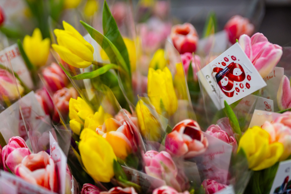 Советы от ИИ: какими подарками порадовать жительниц Мурманской области