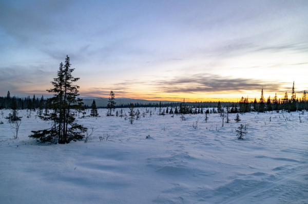 Новый выпуск «Сказок Севера» озвучил телеведущий Николай Дроздов