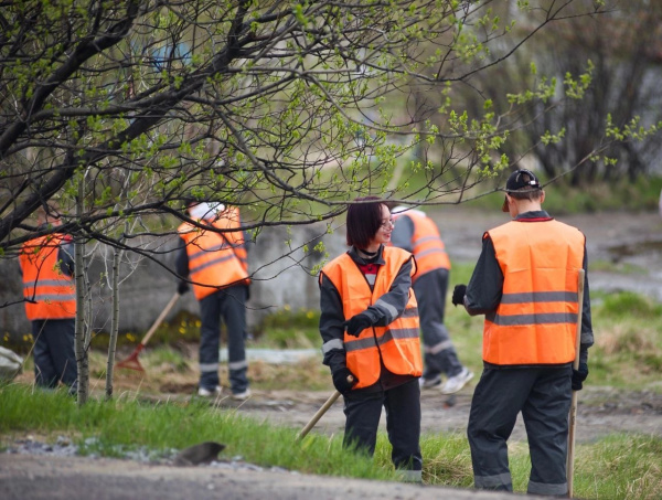 Проект «Работа рядом» помог трудоустроить тысячи подростков в Мурманской области