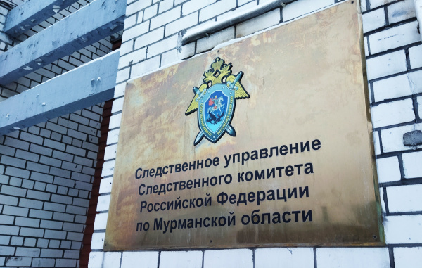 В Оленегорске нашли человеческий череп