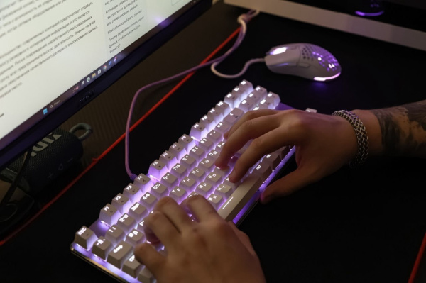 В правительстве региона рассказали, зачем чиновникам покупают VPN