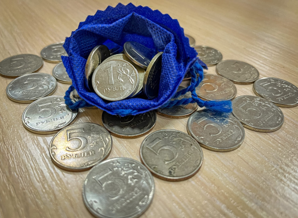 В Мурманской области стартует «Монетная неделя»