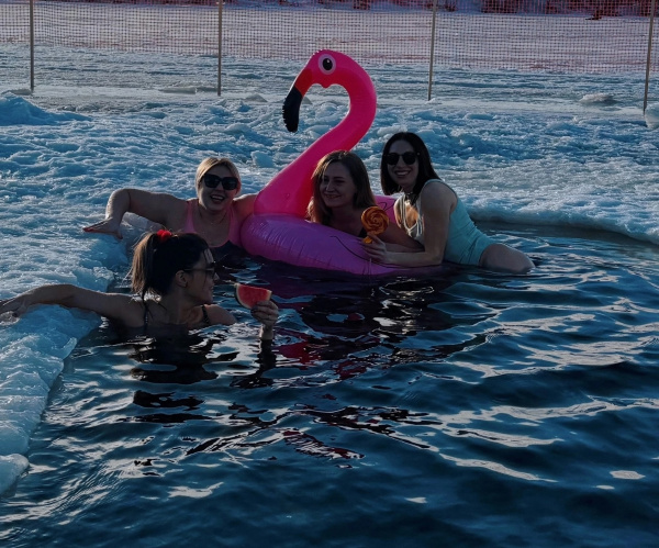 В Мурманске у домика моржей был замечен розовый фламинго