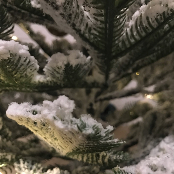 В Мурманске выбирают самый празднично украшенный двор