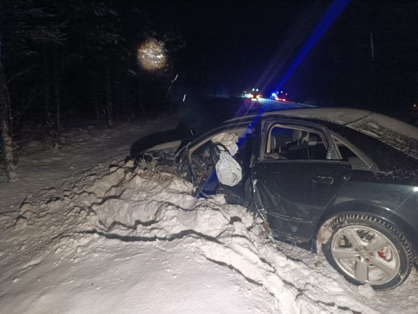 В массовом ДТП под Полярными Зорями пострадал ребёнок