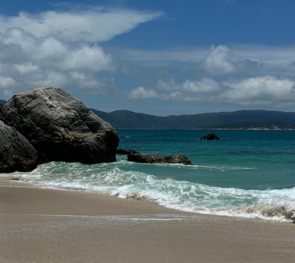 Жители Мурманска провели новогодние каникулы в Китае, Египте и Эмиратах