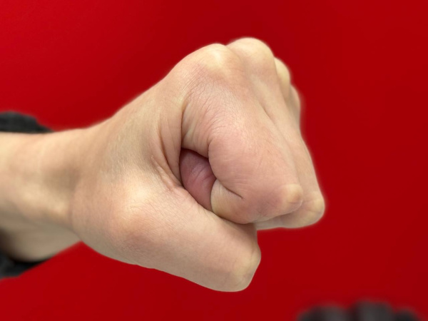 «Соню Блэйд» из Мурманска оштрафовали за драку с полицейскими