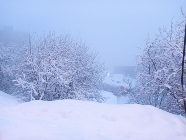 Легкий морозец порадует северян, но не долго