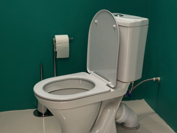 Фекальные фонтаны и кости в трубах: зачем жители Мурманска вызывали домой сантехника в новогодние праздники?