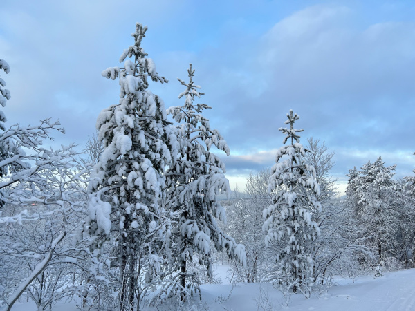 В Заполярье не выше -10 градусов