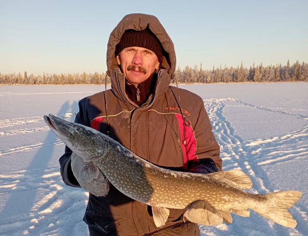  В Мурманской области северянин поймал пятикилограммовую исполнительницу желаний