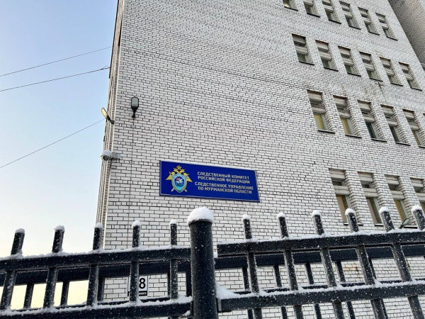 В Мурманске избили детей, виновные не наказаны, подключился Бастрыкин 