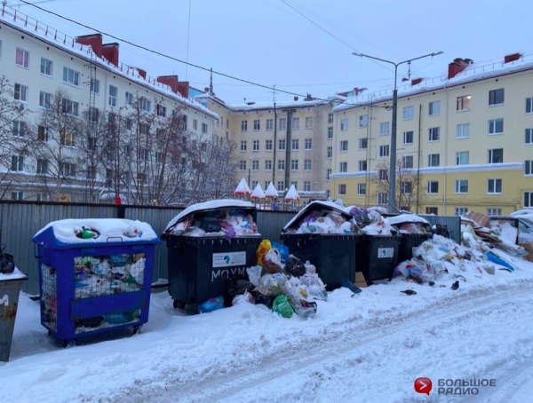Тбо мурманск