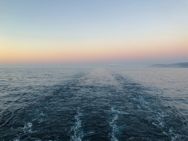 Рейс за миллионы, а билеты за тысячи: перевозки из Мурманска в Островной почти полностью оплачивает бюджет