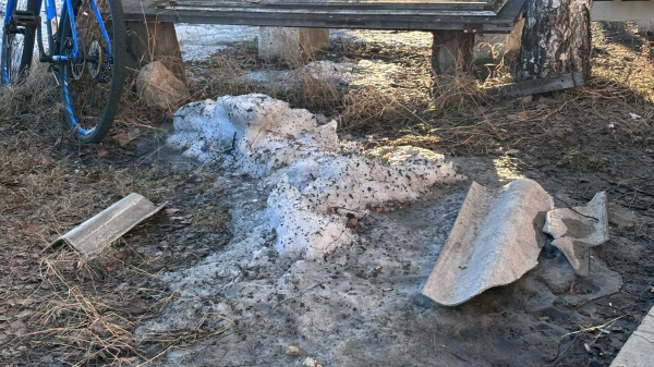 Рядом с жительницей Кандалакши и её ребёнком с крыши свалился шифер