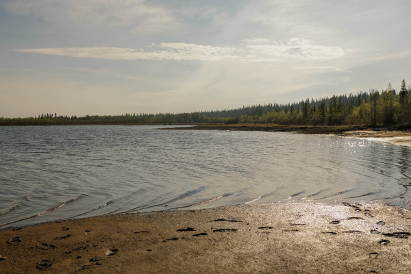 Школьница нашла кишечную палочку в водоёмах Мурманска