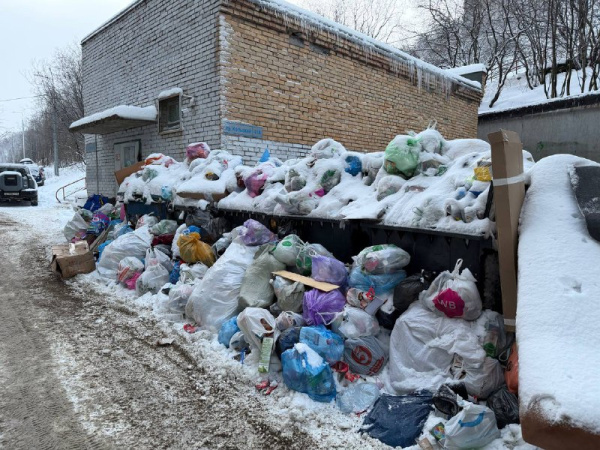 212 административных дел и более 5 млн штрафов: срывы графика вывоза мусора в Мурманской области