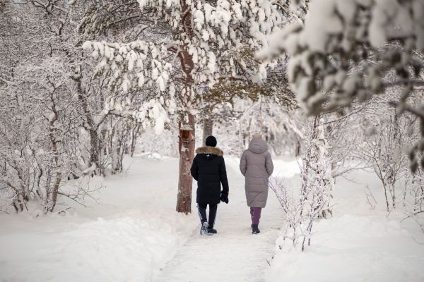 Циклон сегодня принесет в Мурманскую область снег и ветер