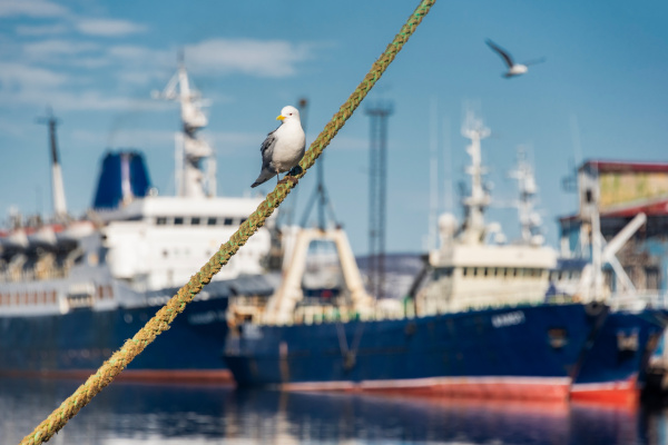 Мурманский морской рыбный порт подтвердил финансовую стабильность