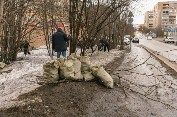 В Мурманске прошёл общегородской субботник