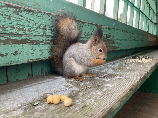 В расписании мурманской погоды нет изменений