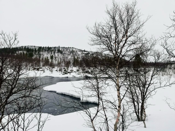 В Мурманской области зима возвращается к традиционному температурному режиму