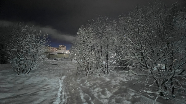 Столбики мурманских термометров опустятся до минус двадцати градусов