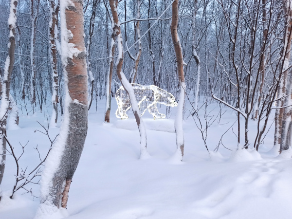 В выходные в Мурманской области ожидается снег и ветер 