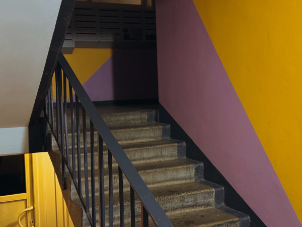 Мухи, шум, мусор и испорченный интим: чем соседи раздражают жителей Мурманска