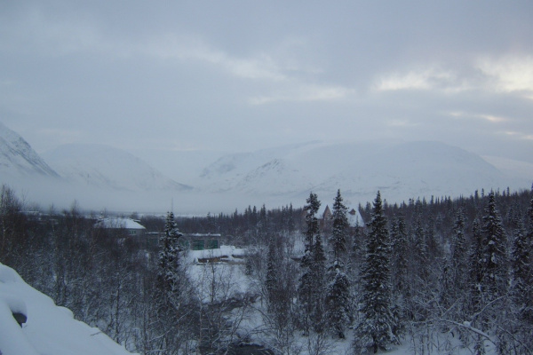 В Заполярье дует порывистый ветер с юга