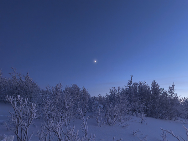 Полярная ночь близко