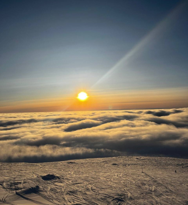 Благодаря активному циклону в Заполярье будет ветрено