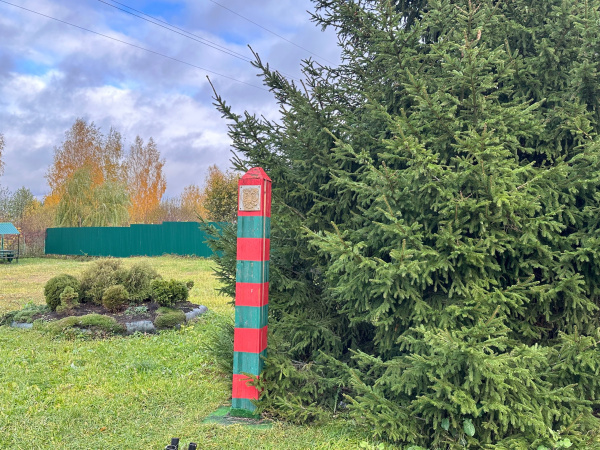 Лучших народных дружинников Мурманской области поощрят денежными выплатами