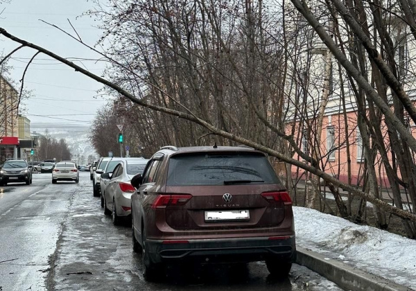 Мурманчанка отсудила у УК потраченные на ремонт машины деньги