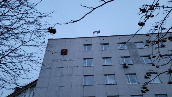 Прокуратура проверяет обстоятельства гибели медвежонка в Печенгском округе