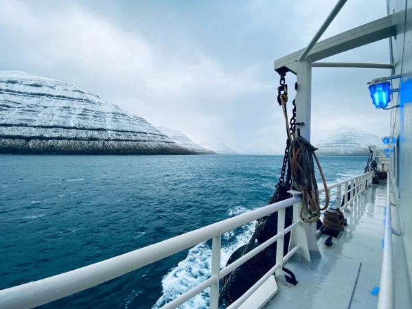 По заявкам мурманчан: весной Госдума может разрешить делать консервы из печени трески на прибрежных судах