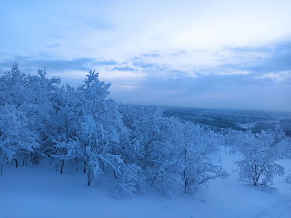 Морозная погода сохранится в Заполярье в ближайшие дни