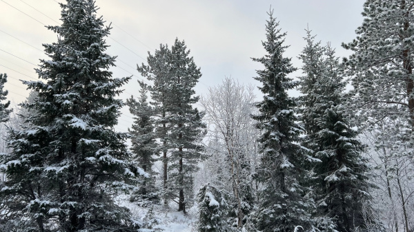 В Мурманской области изменится погода